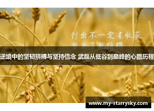逆境中的坚韧拼搏与坚持信念 武磊从低谷到巅峰的心路历程