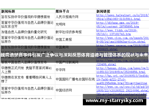 魏震遭禁赛事件引发广泛争议与深刻反思体育道德与管理体系的现状与未来