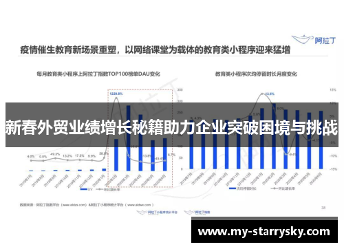 新春外贸业绩增长秘籍助力企业突破困境与挑战