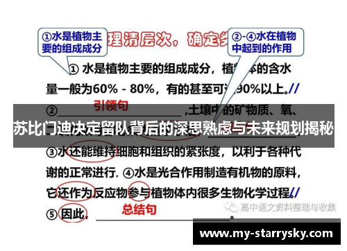 苏比门迪决定留队背后的深思熟虑与未来规划揭秘